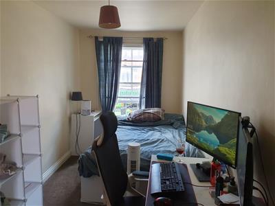 Picture 8